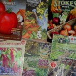 Reading between the lines of plant catalogs