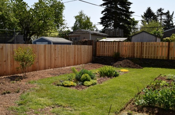 backyard landscaping ideas and before and after photos brush and ivy after 050315 028
