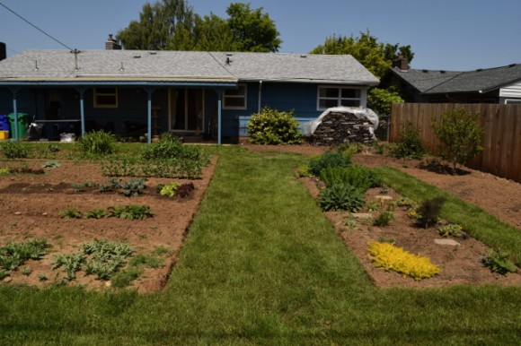 backyard landscaping ideas and before and after photos grass path after 050315 070