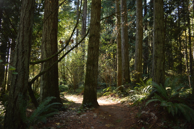 powell butte in portland oregon 110615 029