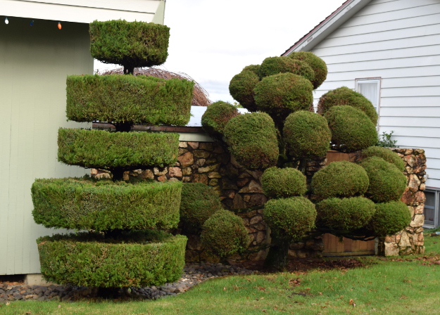 topiary tiers and pompoms x121915 074