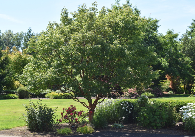 garden conservancy wetland 060516