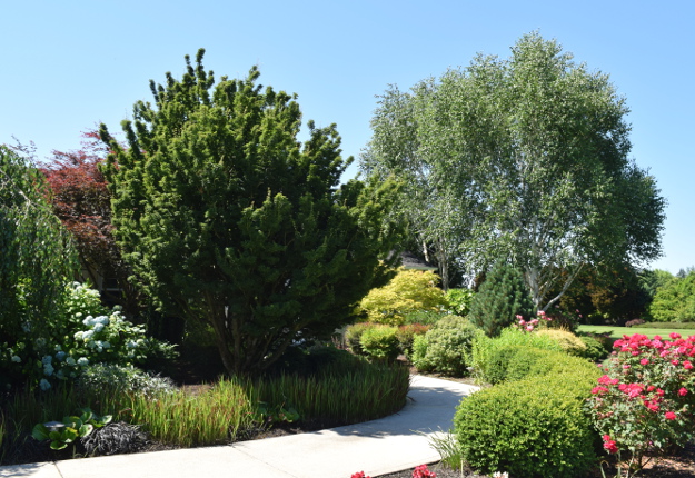 garden conservancy wetland entryway garden 060516