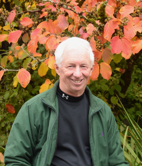 Roger Gossler in front of one of his favorite witch hazels, 'Jelena'.