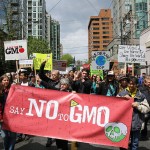 Separating GMO Fact from Fiction: A Crash Course